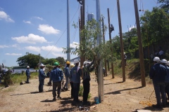 SAMSUNG CAMERA PICTURES